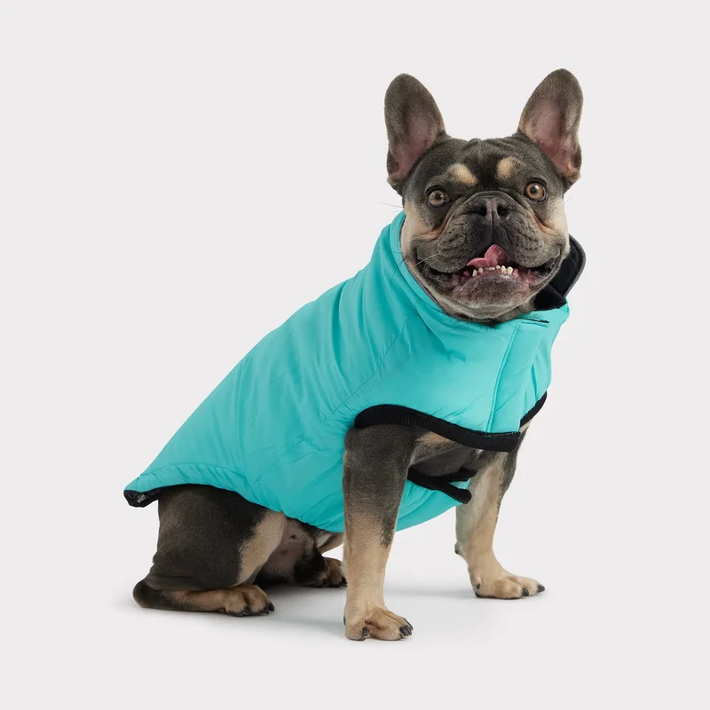 Reversible Chalet Dog Jacket | Black / Neon Aqua