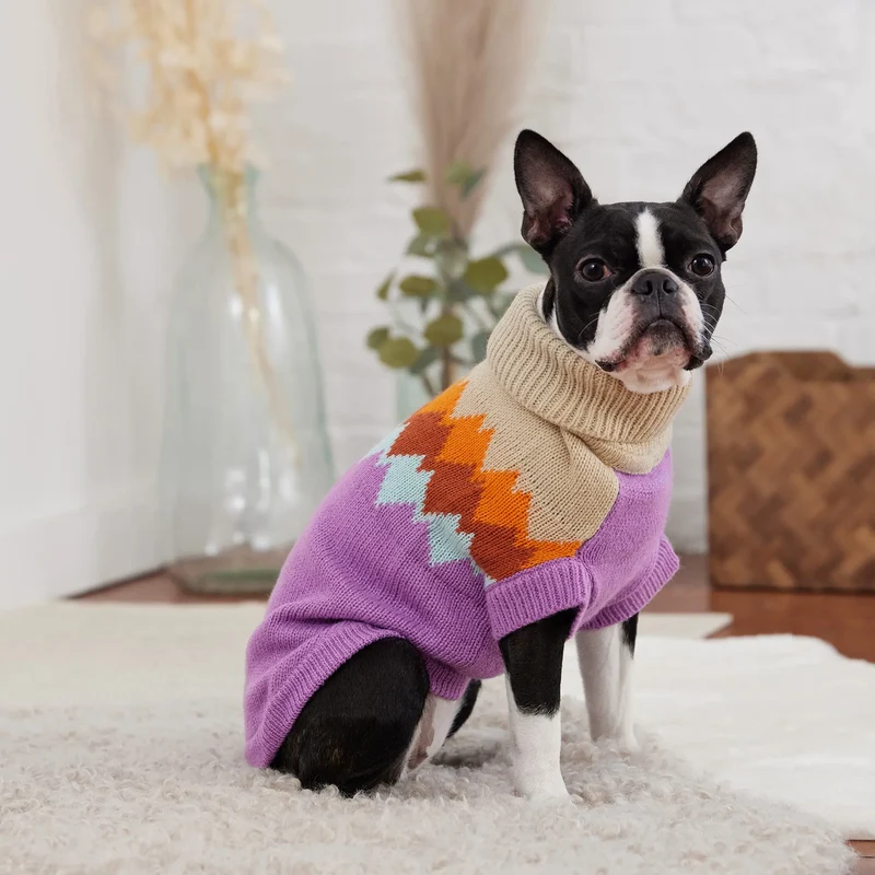 Fireside Dog Sweater | Purple