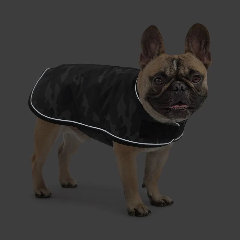Blanket Dog Jacket | Camo