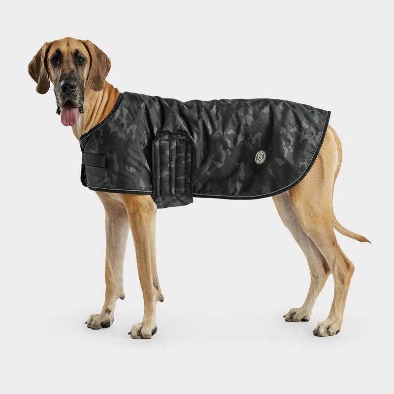 Blanket Dog Jacket | Camo