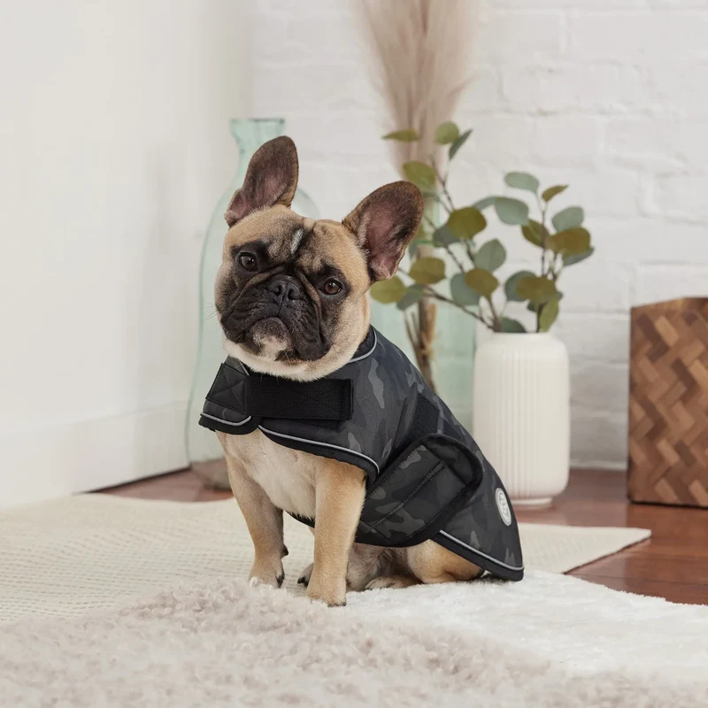 Blanket Dog Jacket | Camo