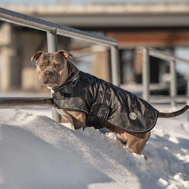 Blanket Dog Jacket | Camo