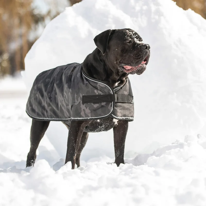 Blanket Dog Jacket | Camo