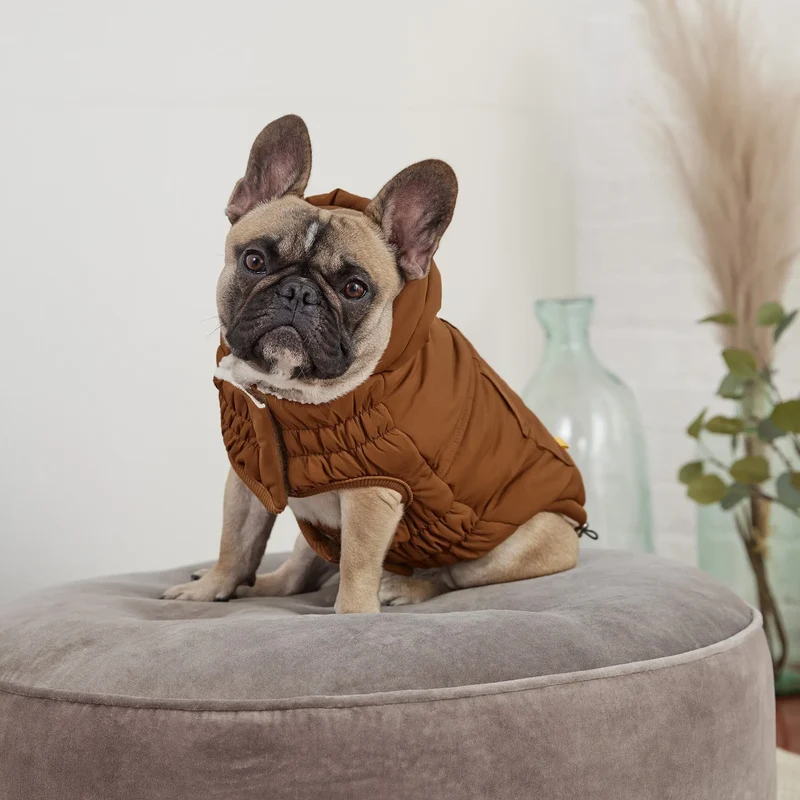 Arctic Dog Parka | Wood