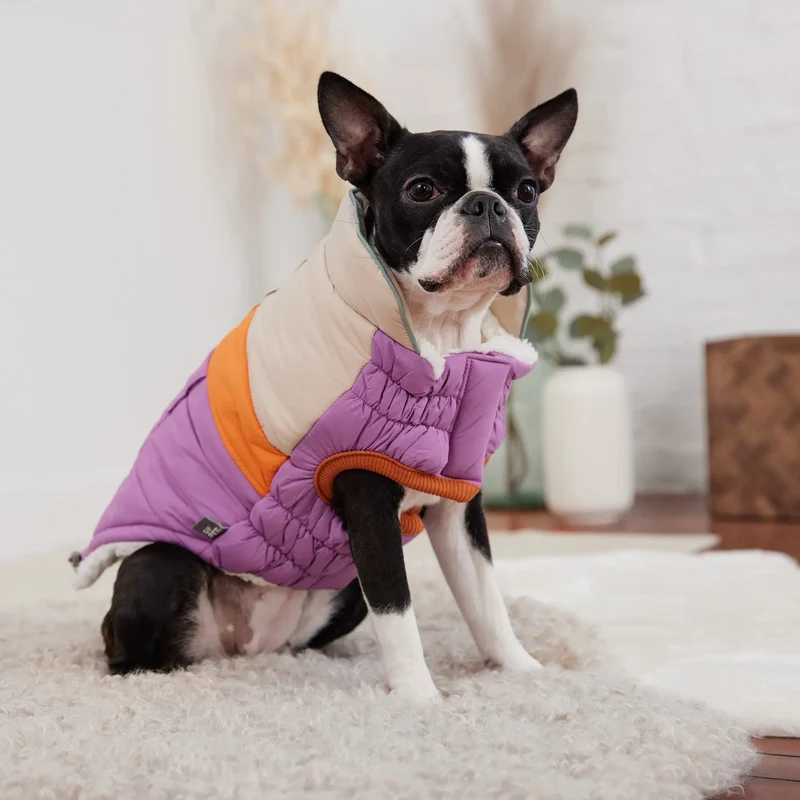 Camplife Dog Puffer | Purple