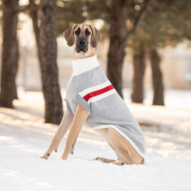 Trekking Dog Sweater | Grey Mix