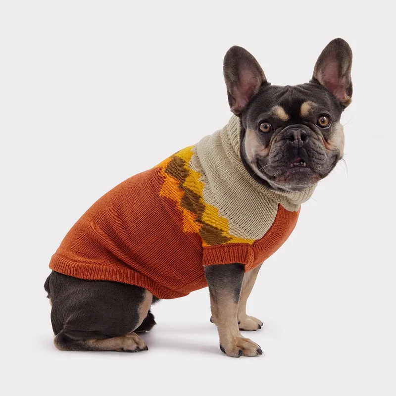 Fireside Dog Sweater | Chili
