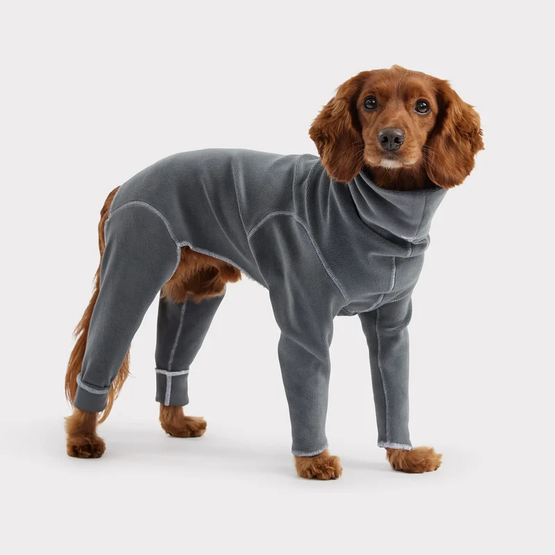 Gondola Dog Onesie | Charcoal