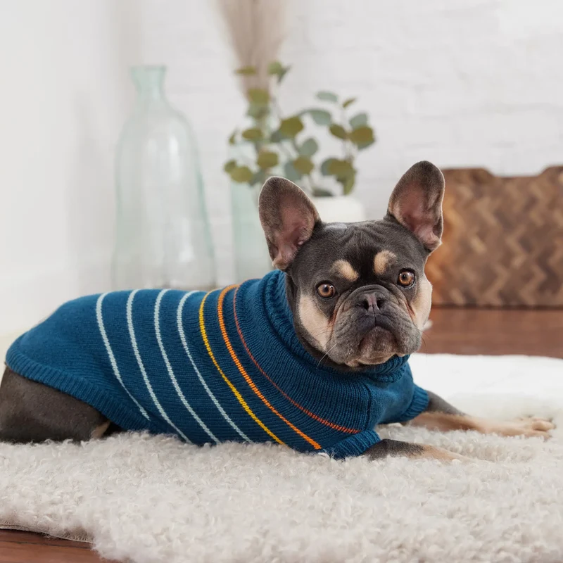 Arctic Dog Sweater | Dark Teal