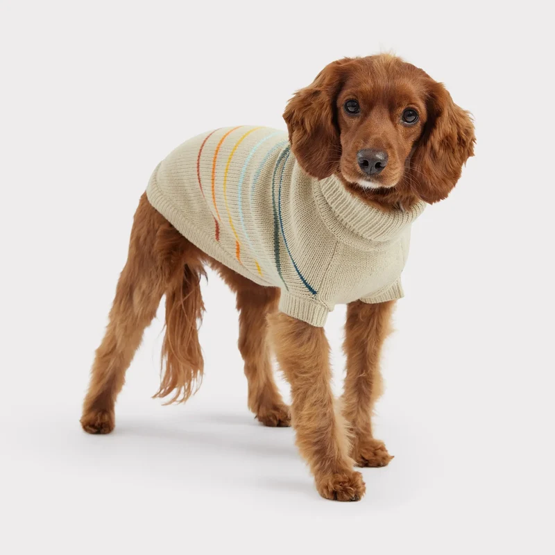 Arctic Dog Sweater | Sand