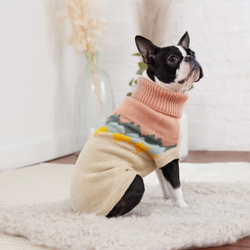 Fireside Dog Sweater | Clay