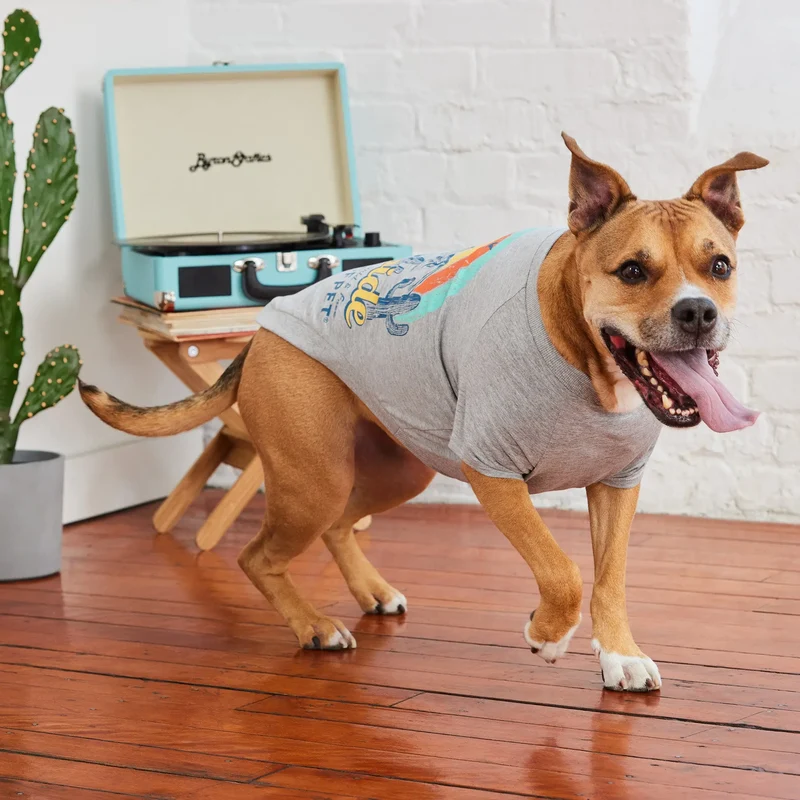 Graphic Tee Dog T-Shirt | Heather Grey