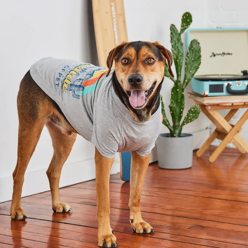 Graphic Tee Dog T-Shirt | Heather Grey