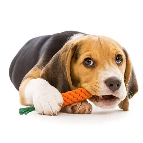 Tira-cani, giocattolo corda con nodi, grande set di giocattoli per cani 16 in 1 PURLOV!