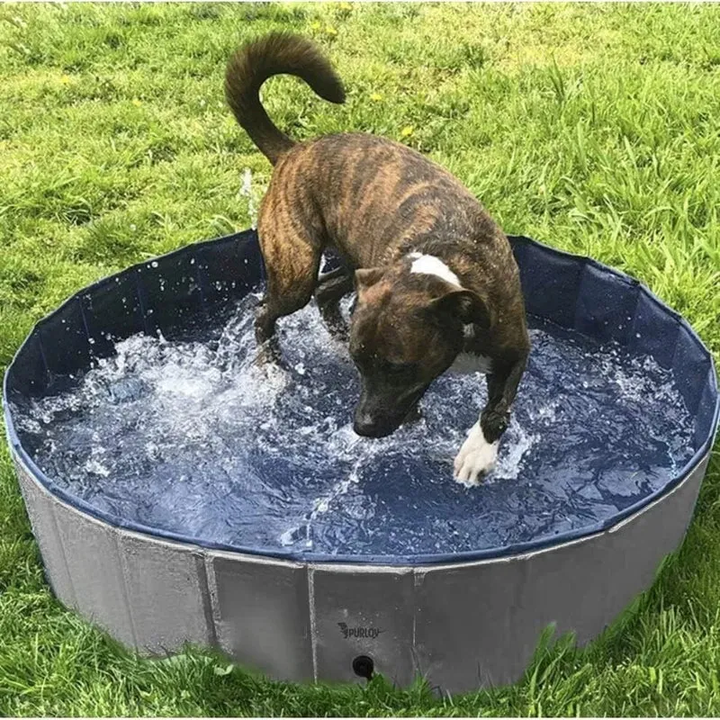 Piscina per Cani 100 x 100 x 30 h cm piscina bagno cani e animali x giardino