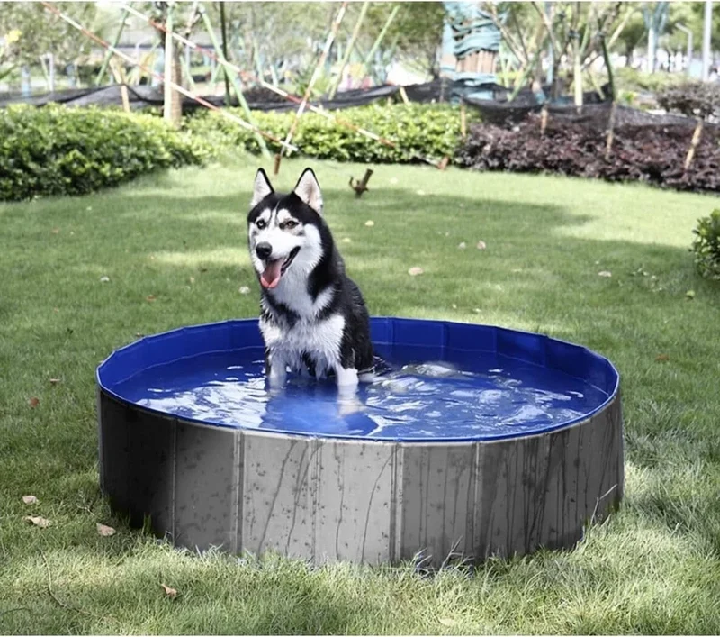 Piscina per Cani 100 x 100 x 30 h cm piscina bagno cani e animali x giardino