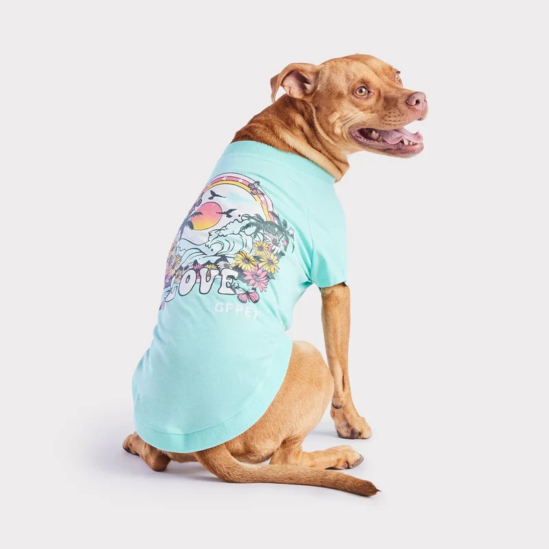 Graphic Tee Dog T-Shirt | Heather Aqua