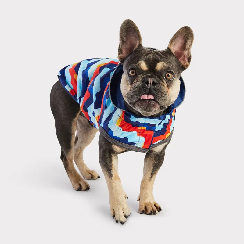 Reversible Dog Raincoat | Navy Retro