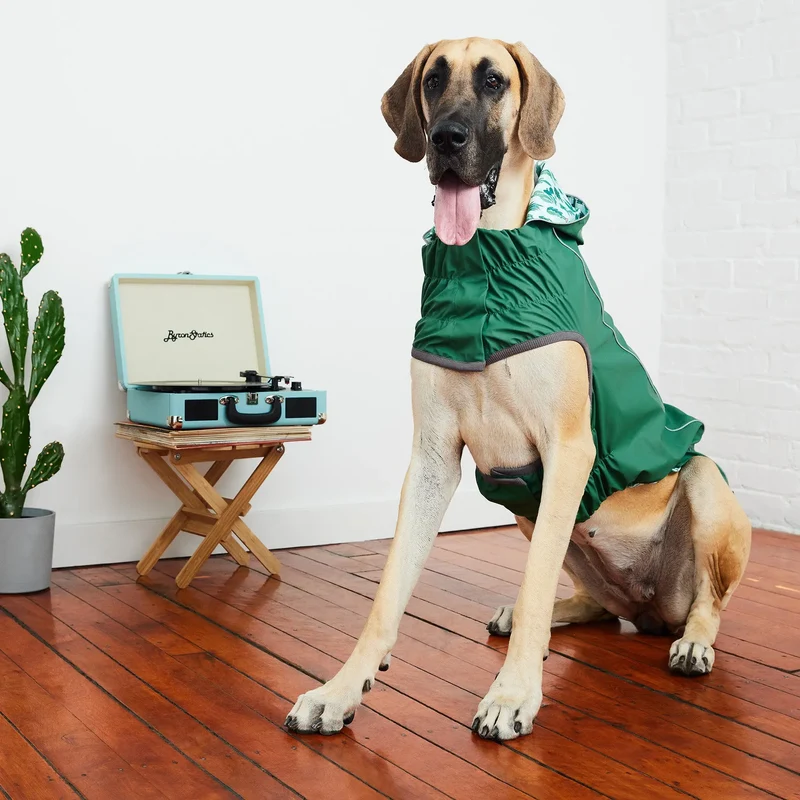 Reversible Dog Raincoat | Green Cactus