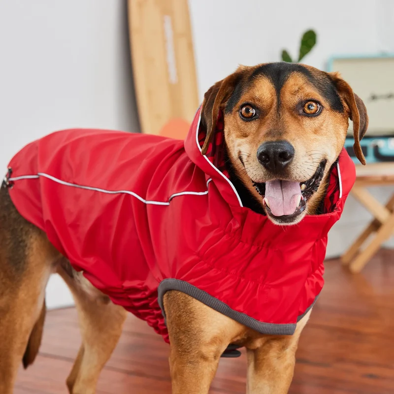 Reversible Dog Raincoat | Red Abstract
