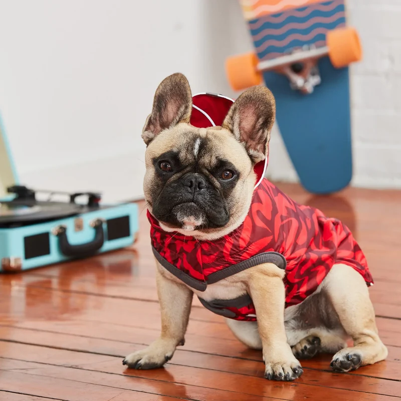 Reversible Dog Raincoat | Red Abstract