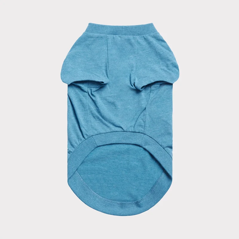 Dog Graphic Tee | Heather Blue