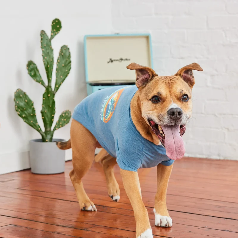Dog Graphic Tee | Heather Blue