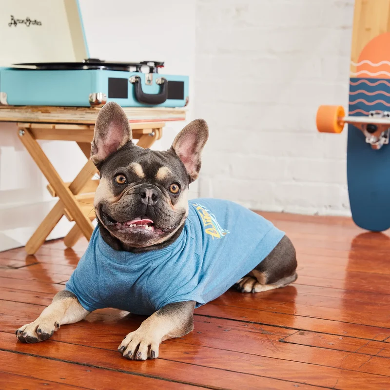 Dog Graphic Tee | Heather Blue