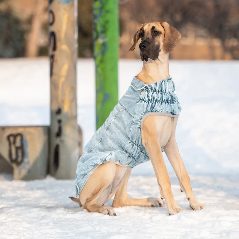 Denim Dog Jacket | Light Wash