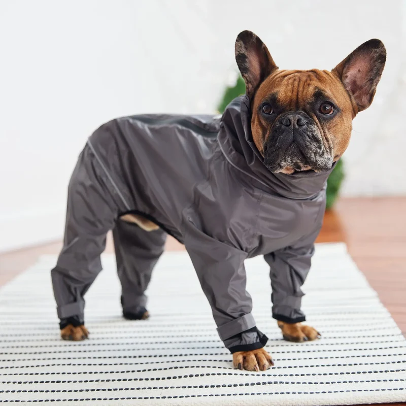 Dog Splash Suit | Charcoal