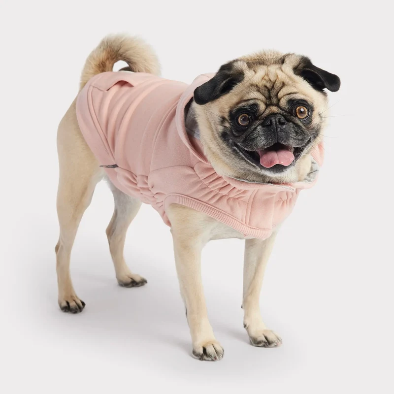 Urban Dog Hoodie | Pink