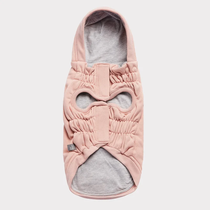 Urban Dog Hoodie | Pink