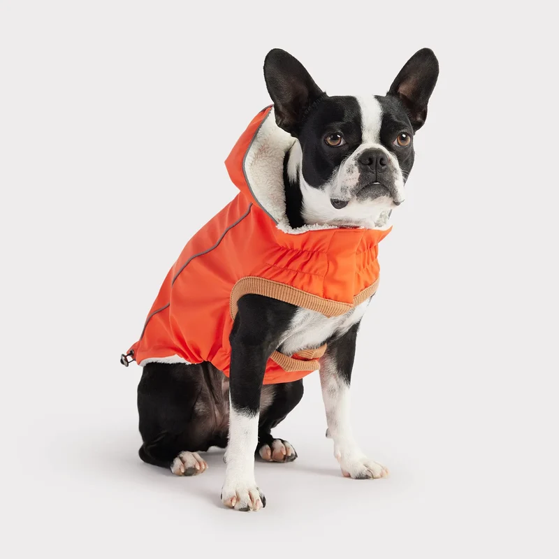Insulated Dog Raincoat | Orange