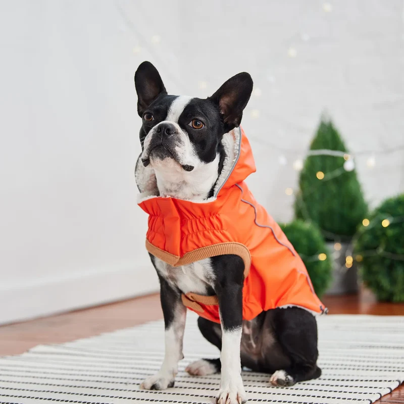 Insulated Dog Raincoat | Orange