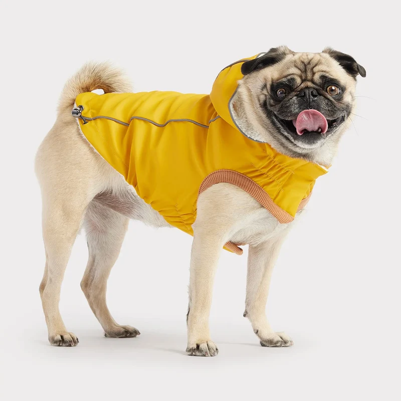 Insulated Dog Raincoat | Yellow