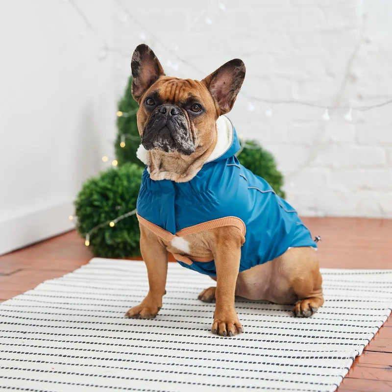 Insulated Dog Raincoat | Dark Blue