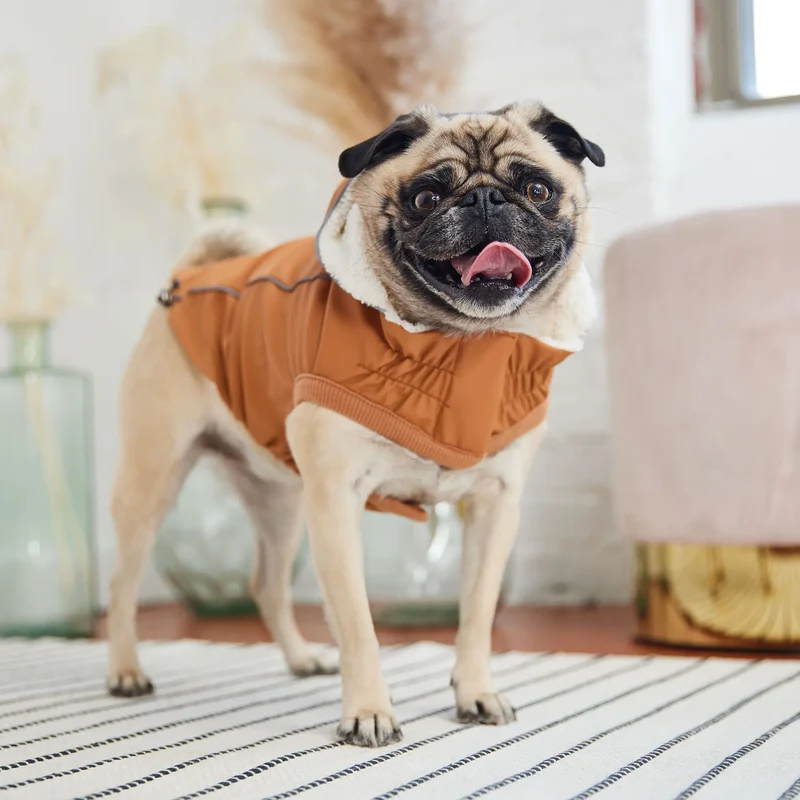 Insulated Dog Raincoat | Hazel