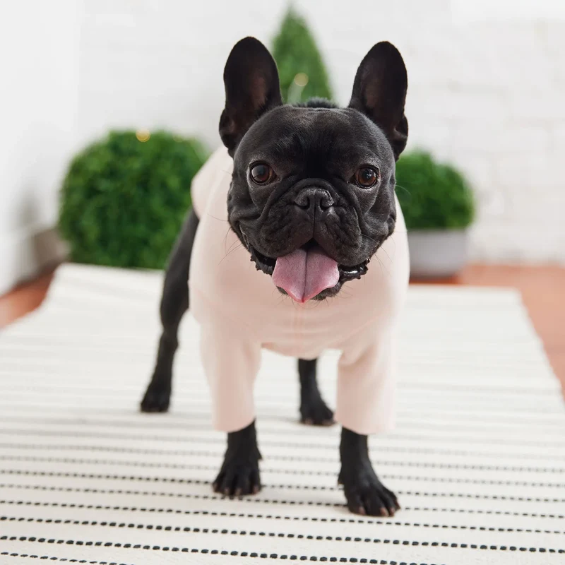 Gondola Base Layer for Dogs | Pink