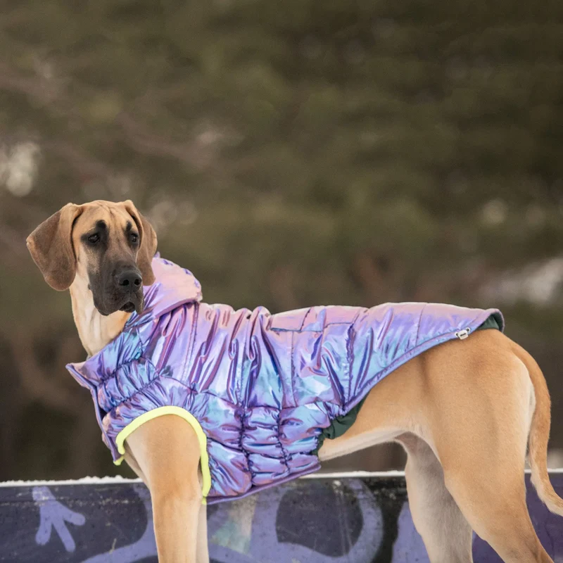 Recycled Dog Parka | Iridescent