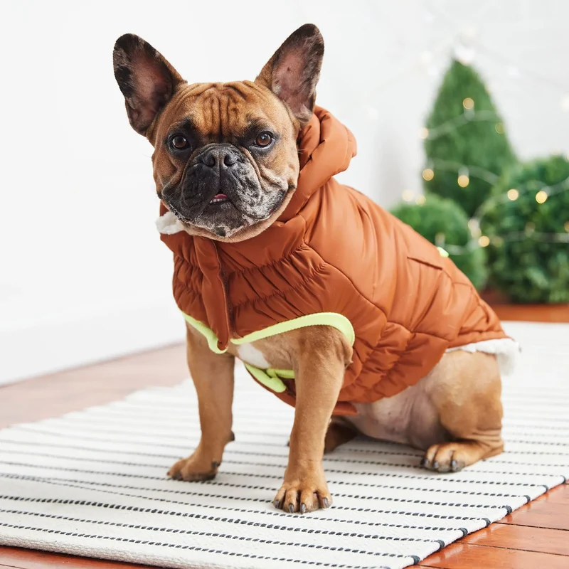 The Puff Dog Parka | Hazel