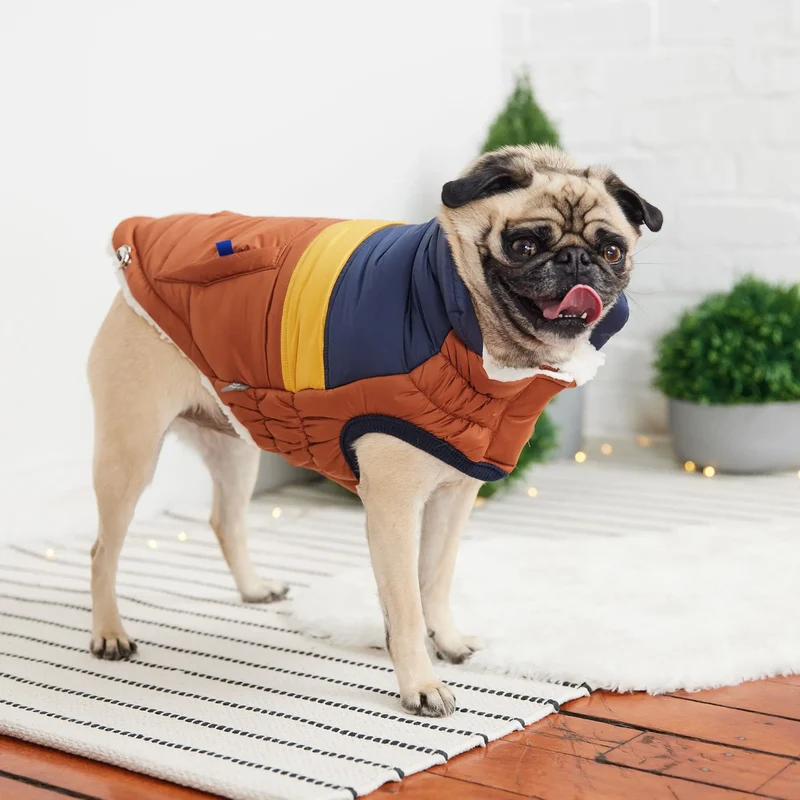 Retro Dog Puffer | Hazel