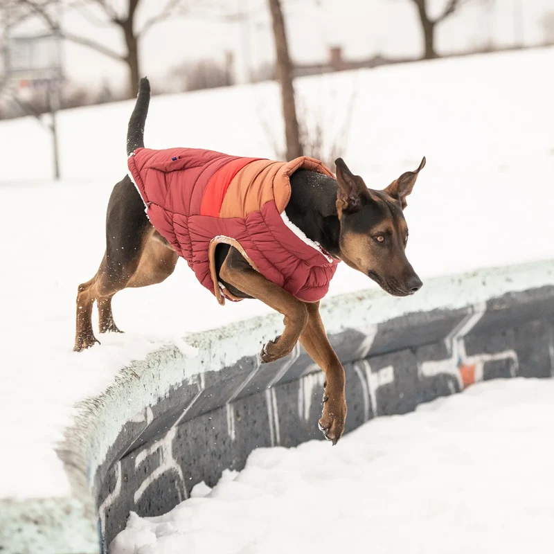 Retro Dog Puffer | Dark Red