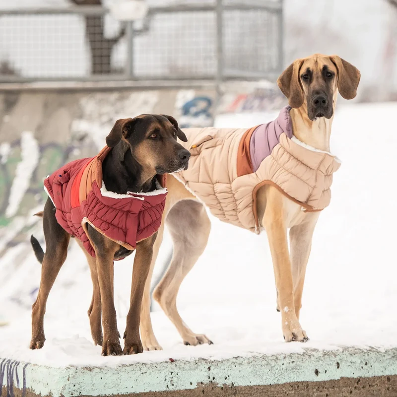 Retro Dog Puffer | Dark Red