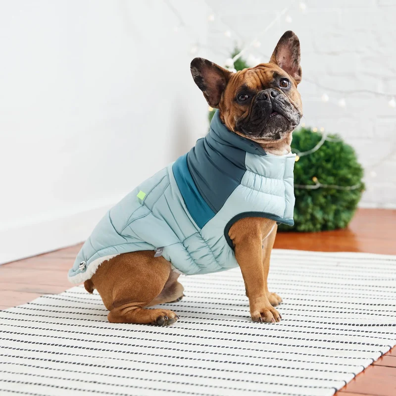 Retro Dog Puffer | Light Blue