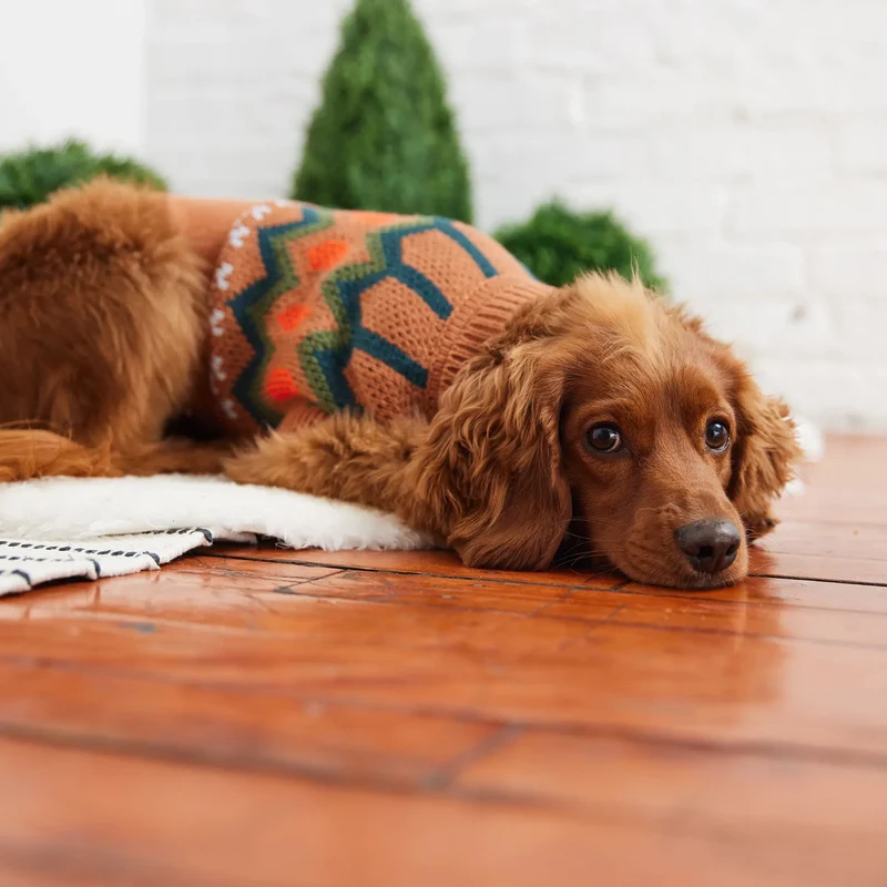 Heritage Dog Sweater | Hazel