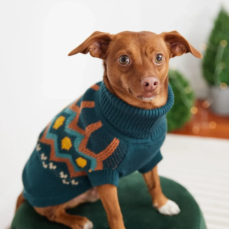 Heritage Dog Sweater | Teal