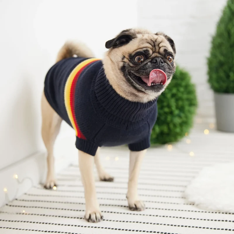 Retro Dog Sweater | Navy