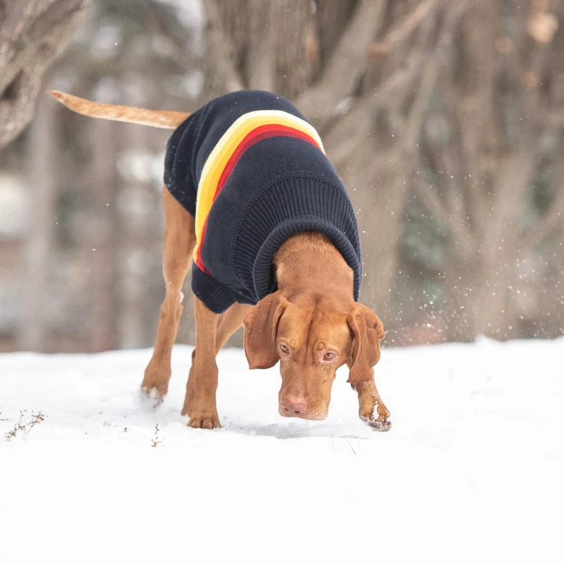Retro Dog Sweater | Navy