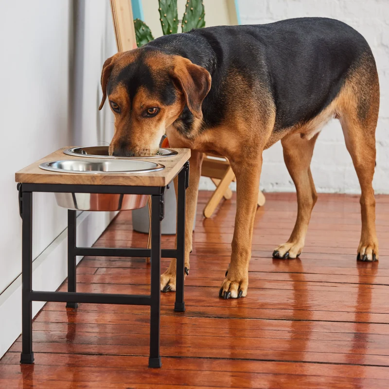 Wood & Metal Pet Feeder | Tall