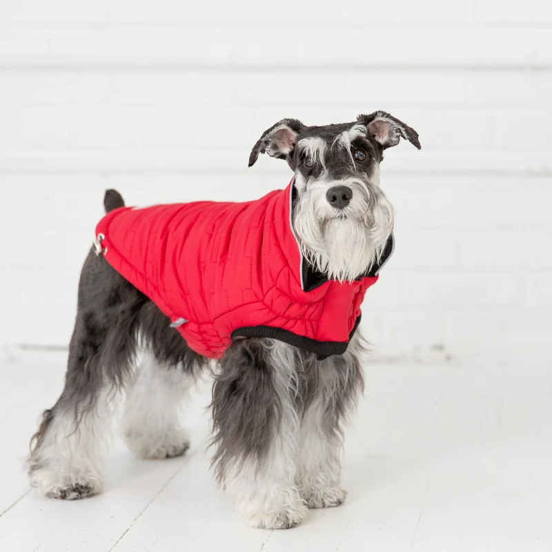 Reversible Chalet Dog Jacket | Red Nylon